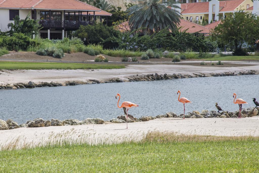 Blue Bay Bungalows Luaran gambar